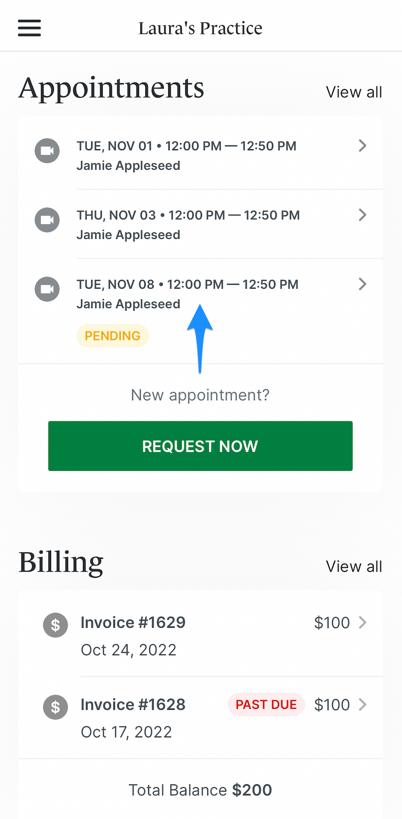appointments.simplepracticeclientportalapp.appointments.png