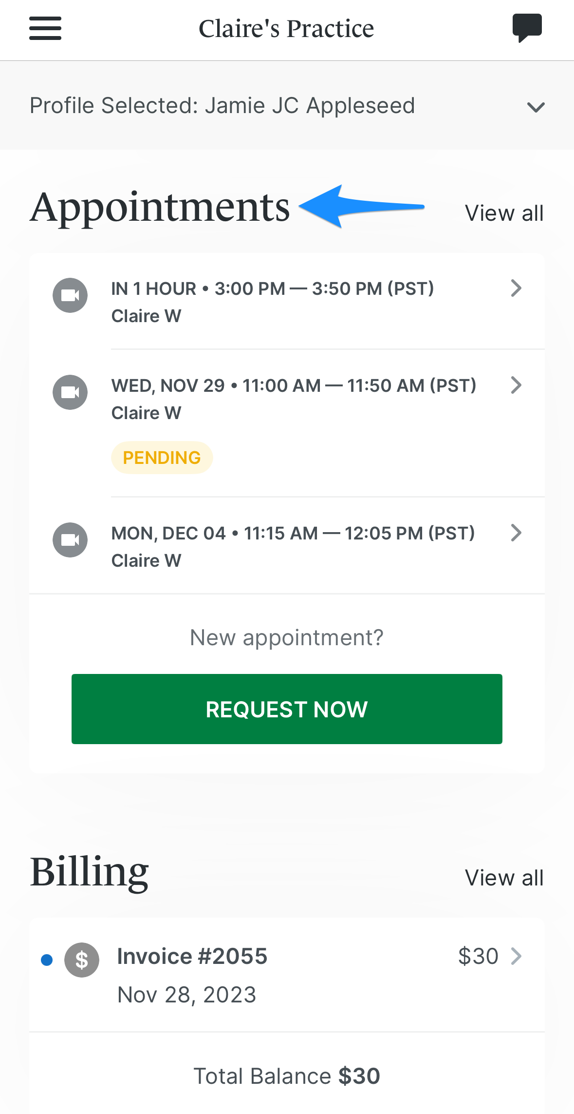 threeappointments.simplepractice.clientapp.png