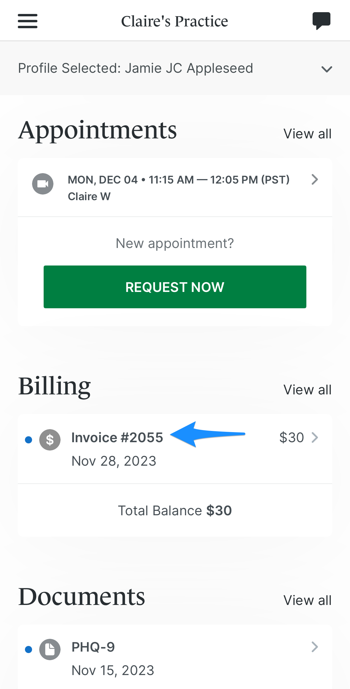 invoice.simplepractice.clientapp.png