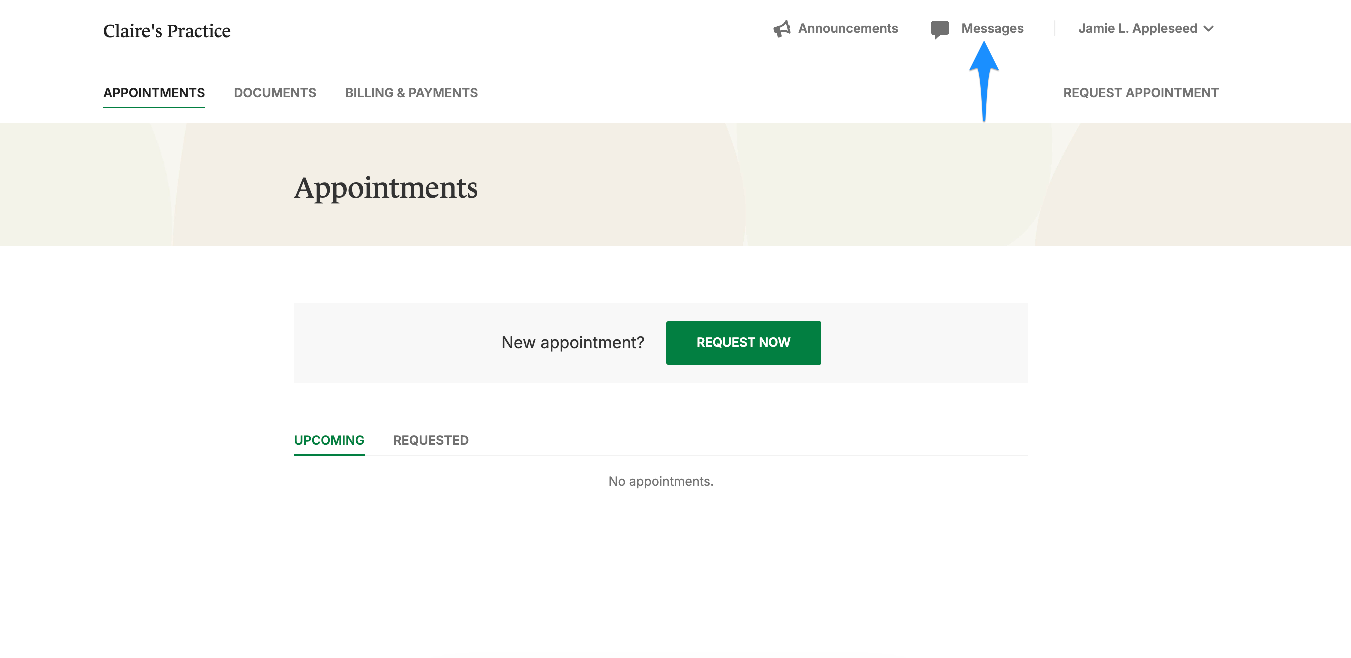messages.simplepractice.clientportal.png