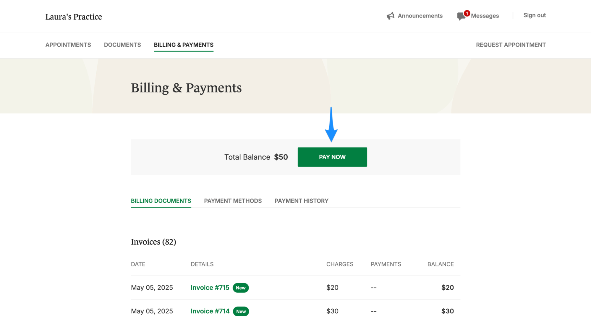 paynowtotal.simplepractice.clientportal.png